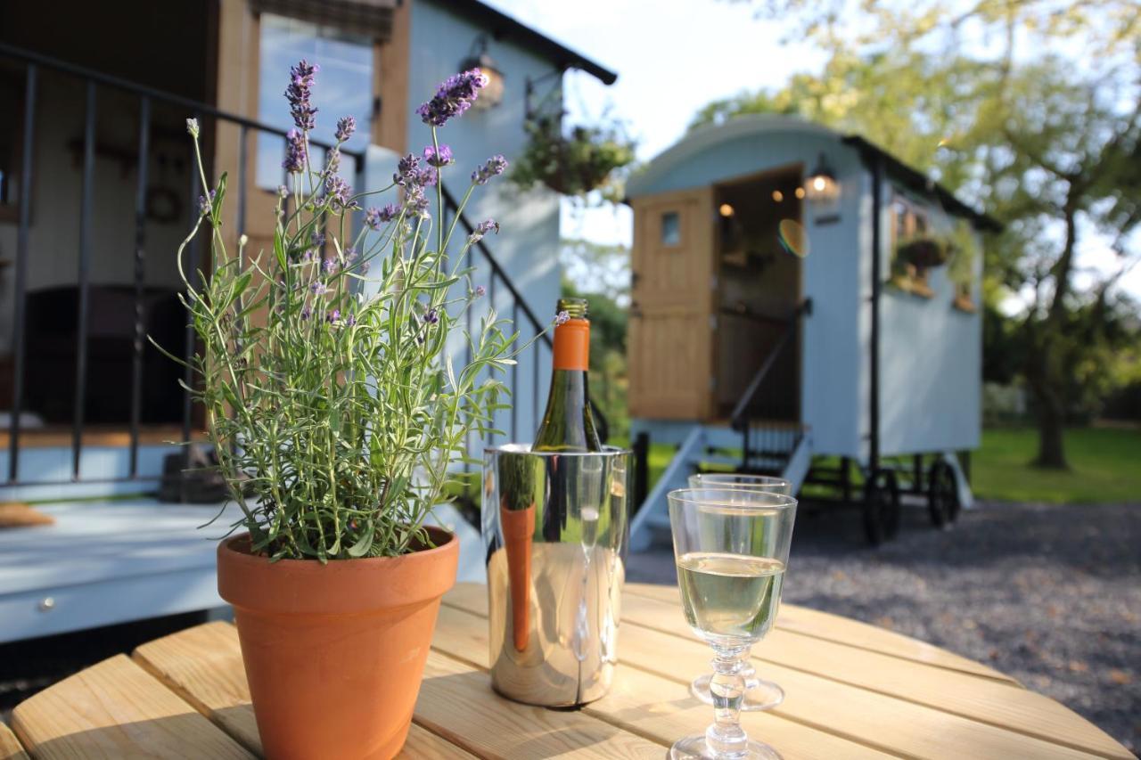 Upper Gelli Luxury Holiday Lodge, Converted Dairy & Cosy Shepherds Huts 웰시풀 외부 사진