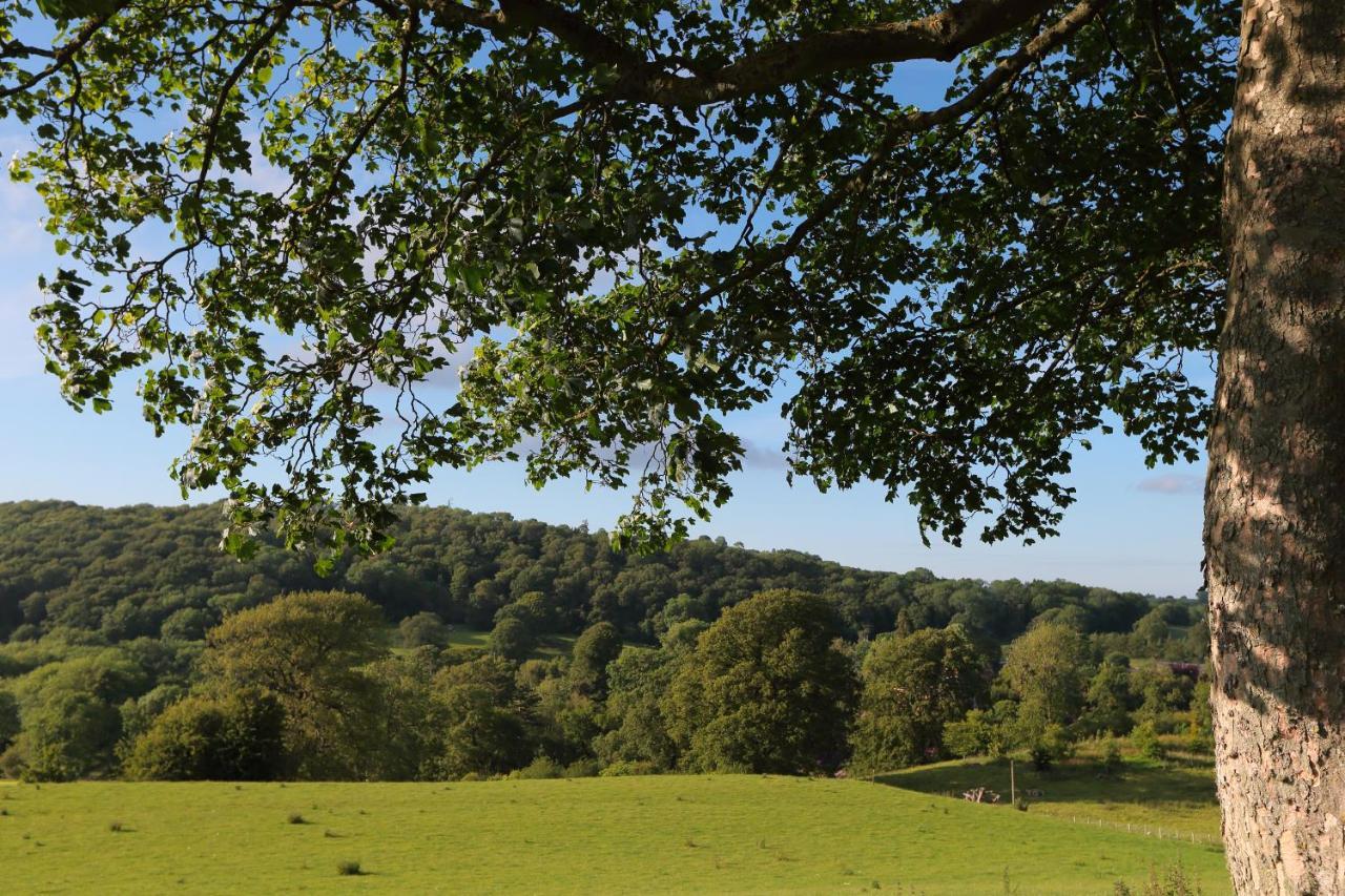 Upper Gelli Luxury Holiday Lodge, Converted Dairy & Cosy Shepherds Huts 웰시풀 외부 사진