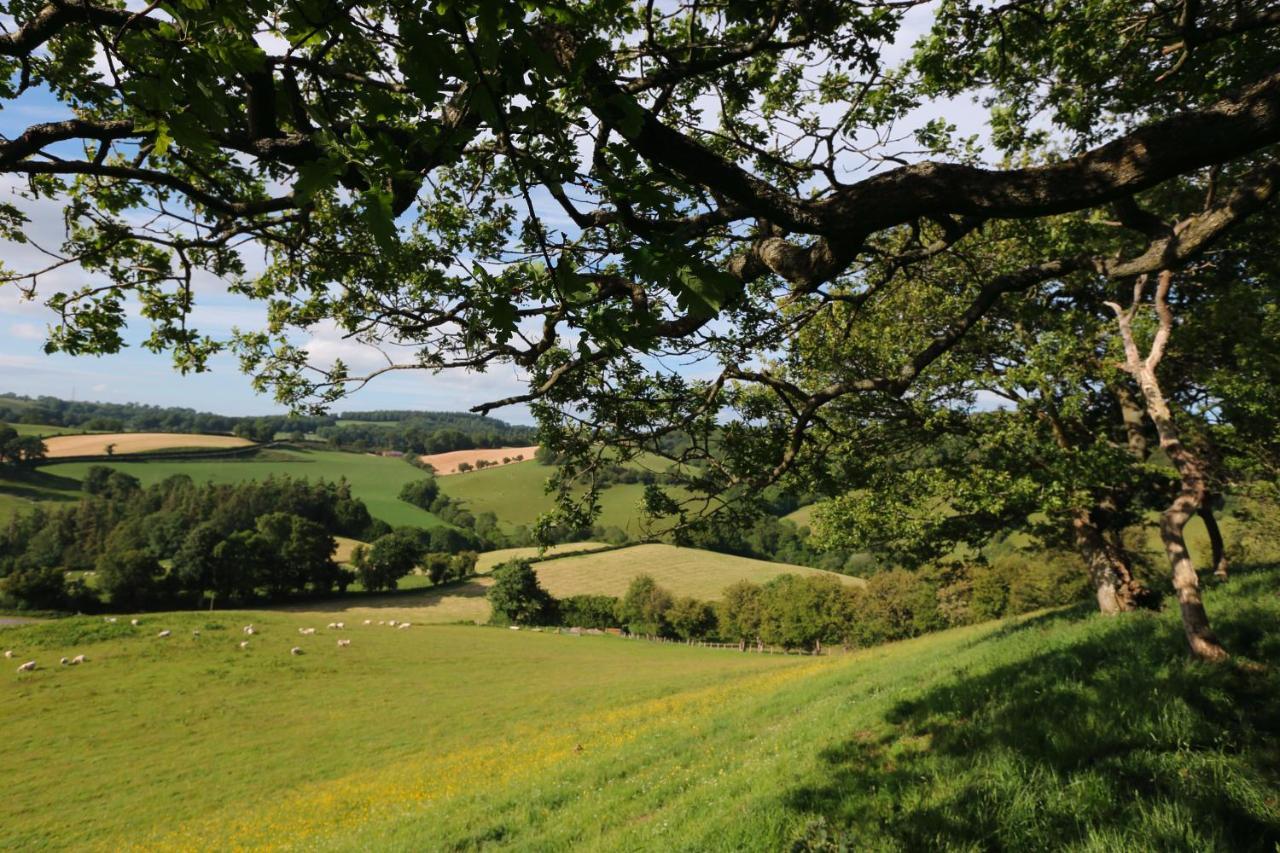Upper Gelli Luxury Holiday Lodge, Converted Dairy & Cosy Shepherds Huts 웰시풀 외부 사진