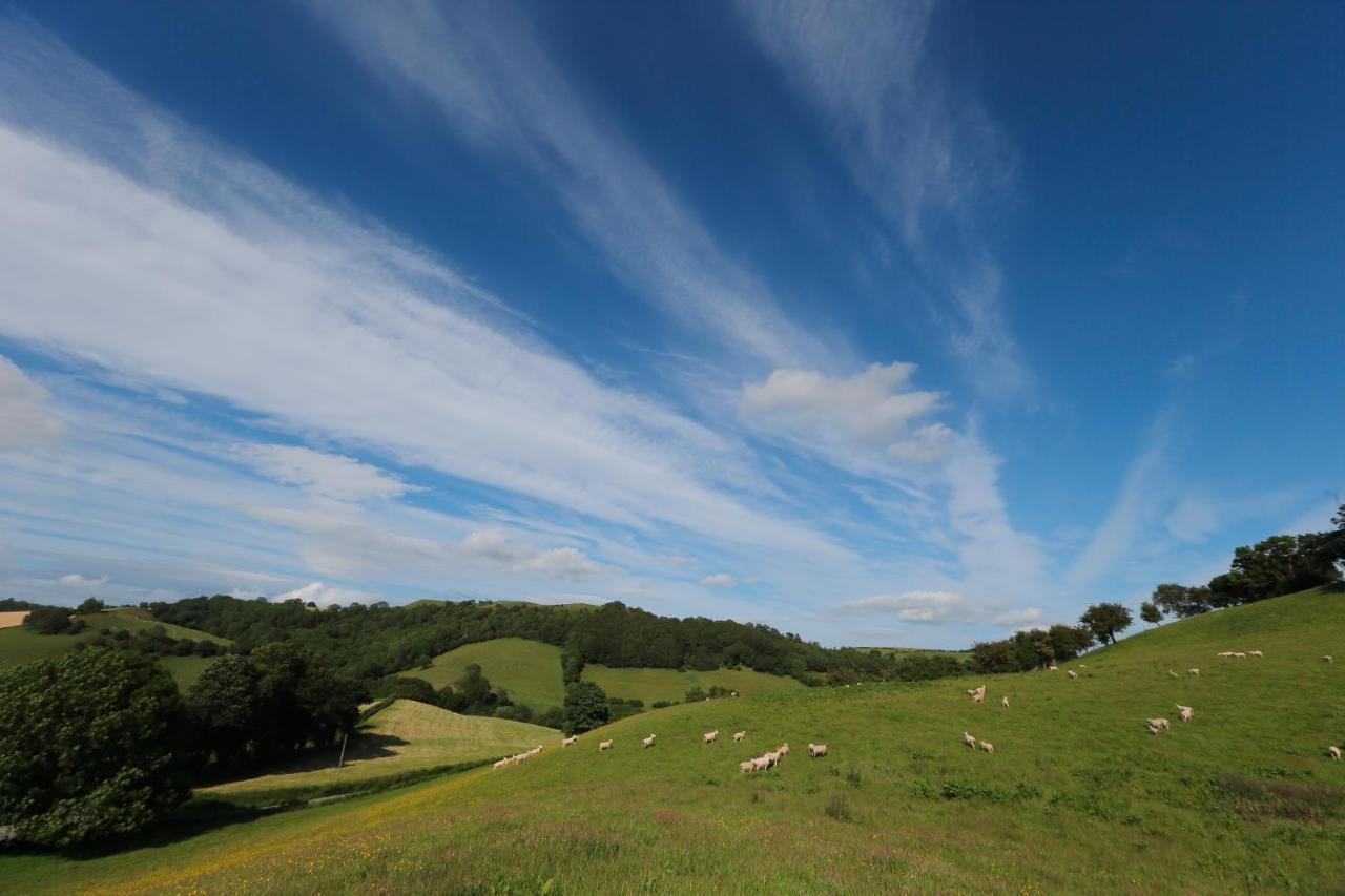 Upper Gelli Luxury Holiday Lodge, Converted Dairy & Cosy Shepherds Huts 웰시풀 외부 사진