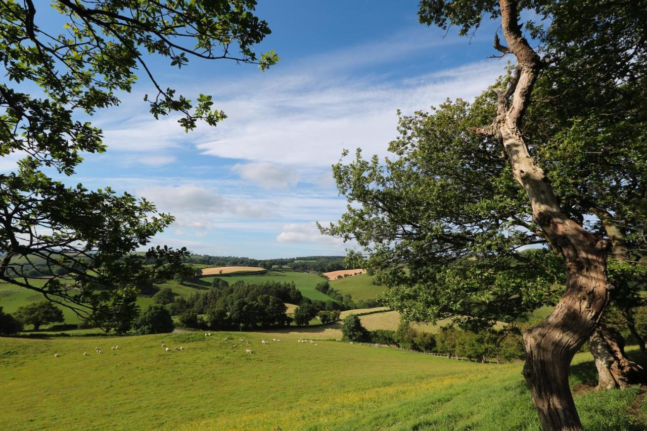 Upper Gelli Luxury Holiday Lodge, Converted Dairy & Cosy Shepherds Huts 웰시풀 외부 사진