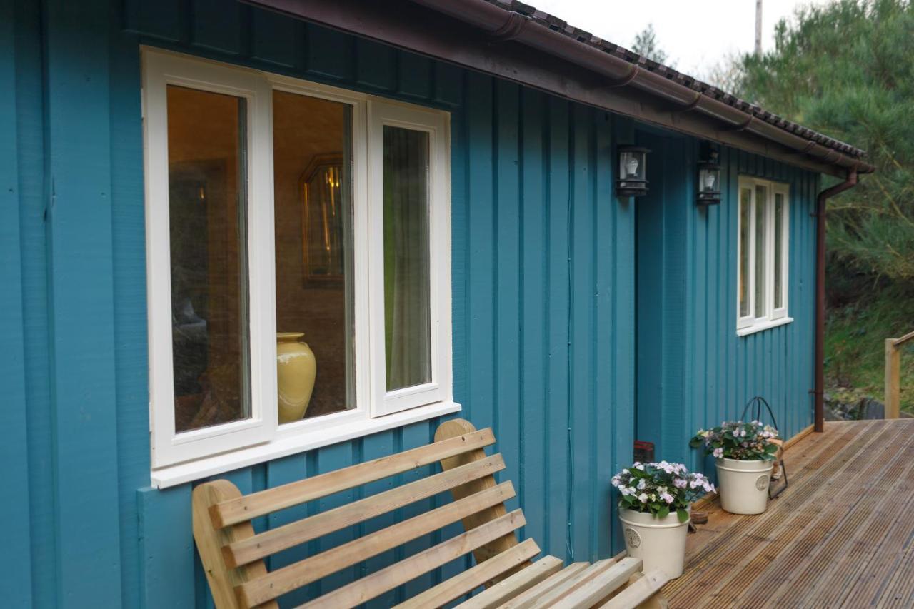 Upper Gelli Luxury Holiday Lodge, Converted Dairy & Cosy Shepherds Huts 웰시풀 외부 사진