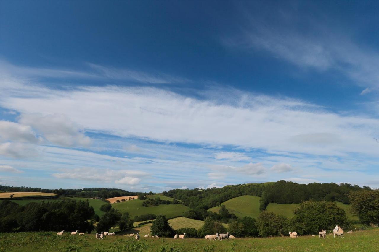 Upper Gelli Luxury Holiday Lodge, Converted Dairy & Cosy Shepherds Huts 웰시풀 외부 사진